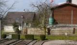 Man tut gut daran, den Baum gegen Wurmigkeit, z.B. Insegar, zu spritzen -s.a. ww.maag-garden.ch-. 